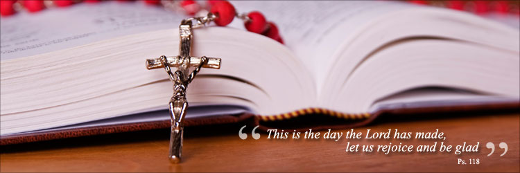 Diocesan Publications. One God, One Church, One Company